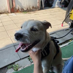 Meet your Posher, Bryan